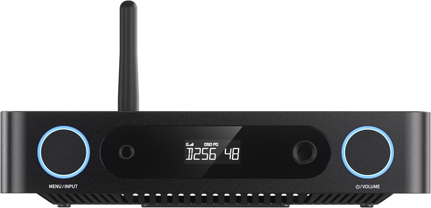 FiiO K13 R2R Desktop DAC & Headphone Amp  High-Fidelity 24Bit R2R DAC  Powerful 2400mW Output  LDAC Bluetooth Streaming  Dual Power Supply  10-Band PEQ  Balanced XLR & RCA Audio Output (Black)