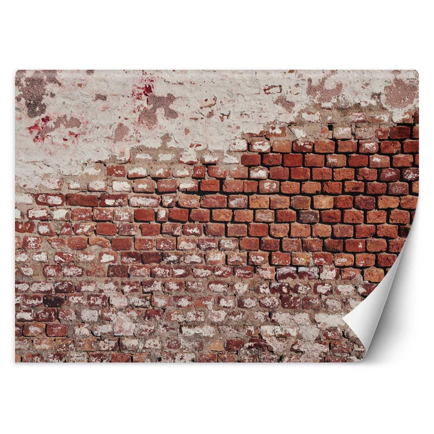 Feeby Fototapeta, Stary ceglany mur 150x105