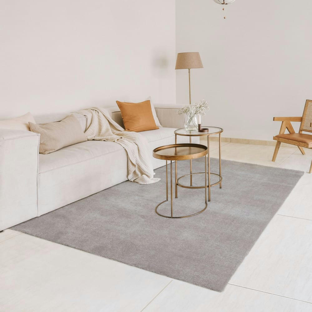 DOUGLAS II - Tapis lavable en machine gris clair 160x230 cm