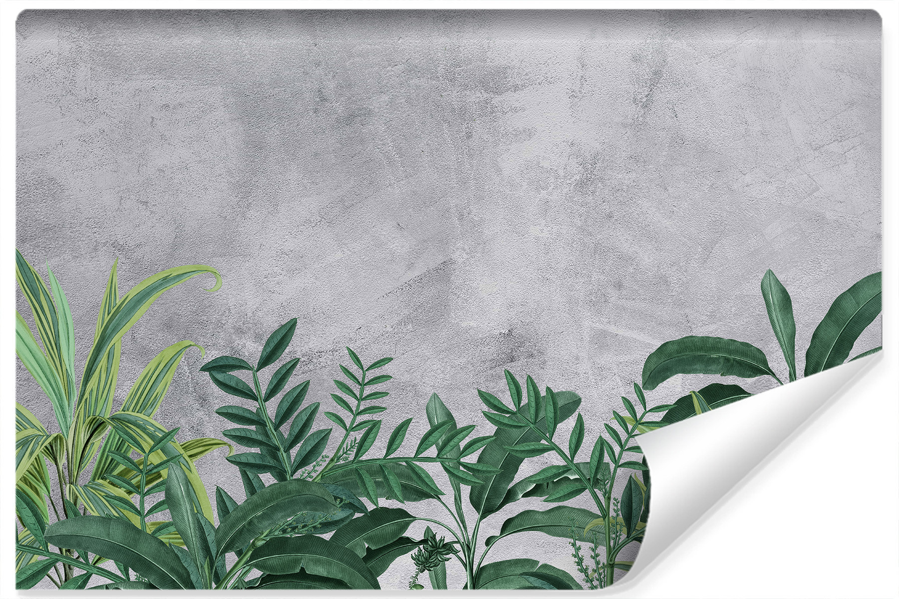 Fototapeta Zielone LIŚCIE Beton Efekt 3D 90x60cm