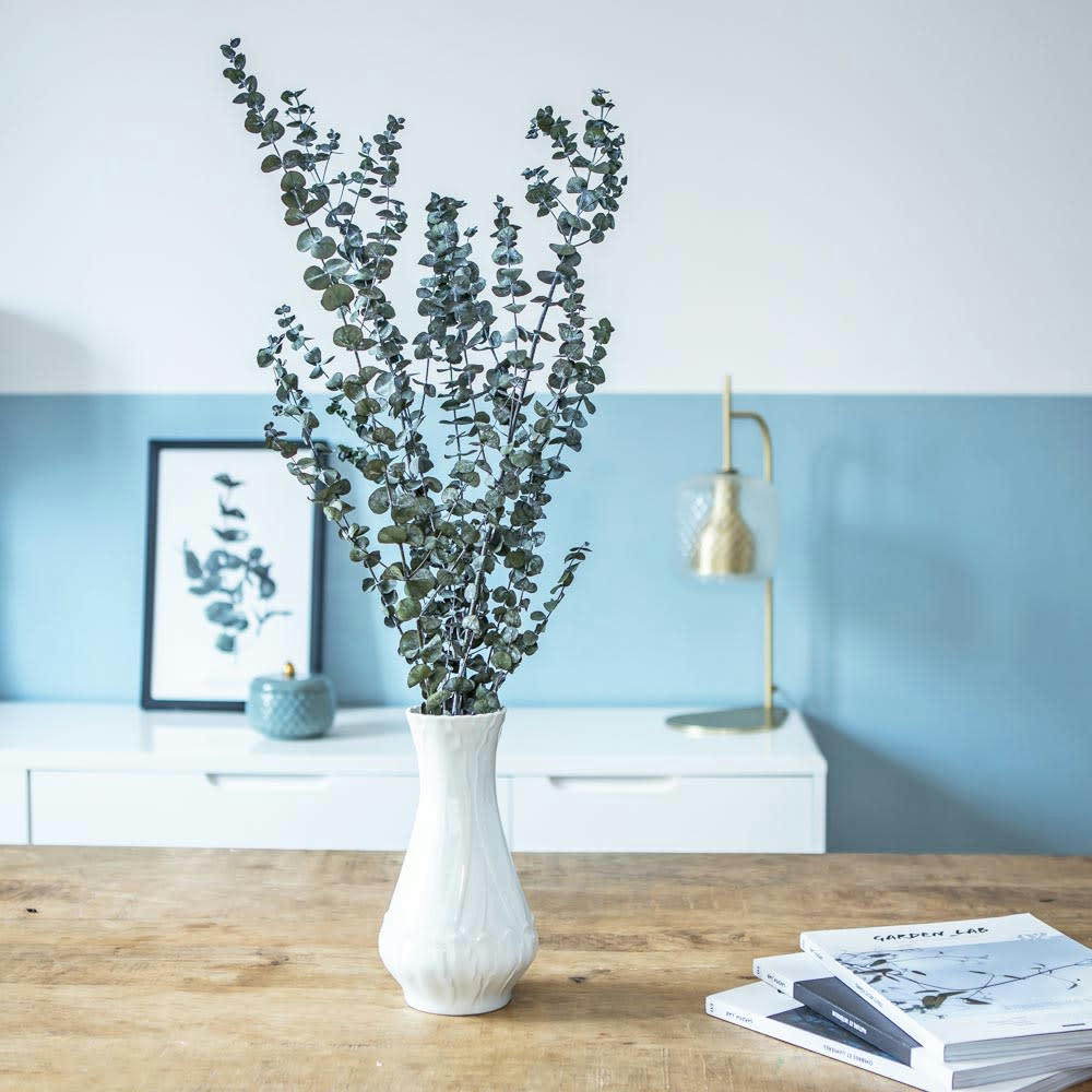 EUCALYPTUS - Botte de fleurs séchées eucalyptus baby stabilisé