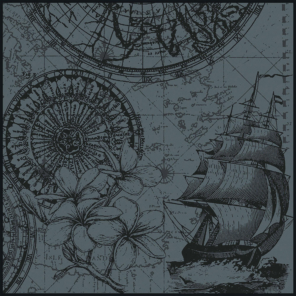 ROSE DES VENTS ENCRE - Serviette  pur coton noir 60x60