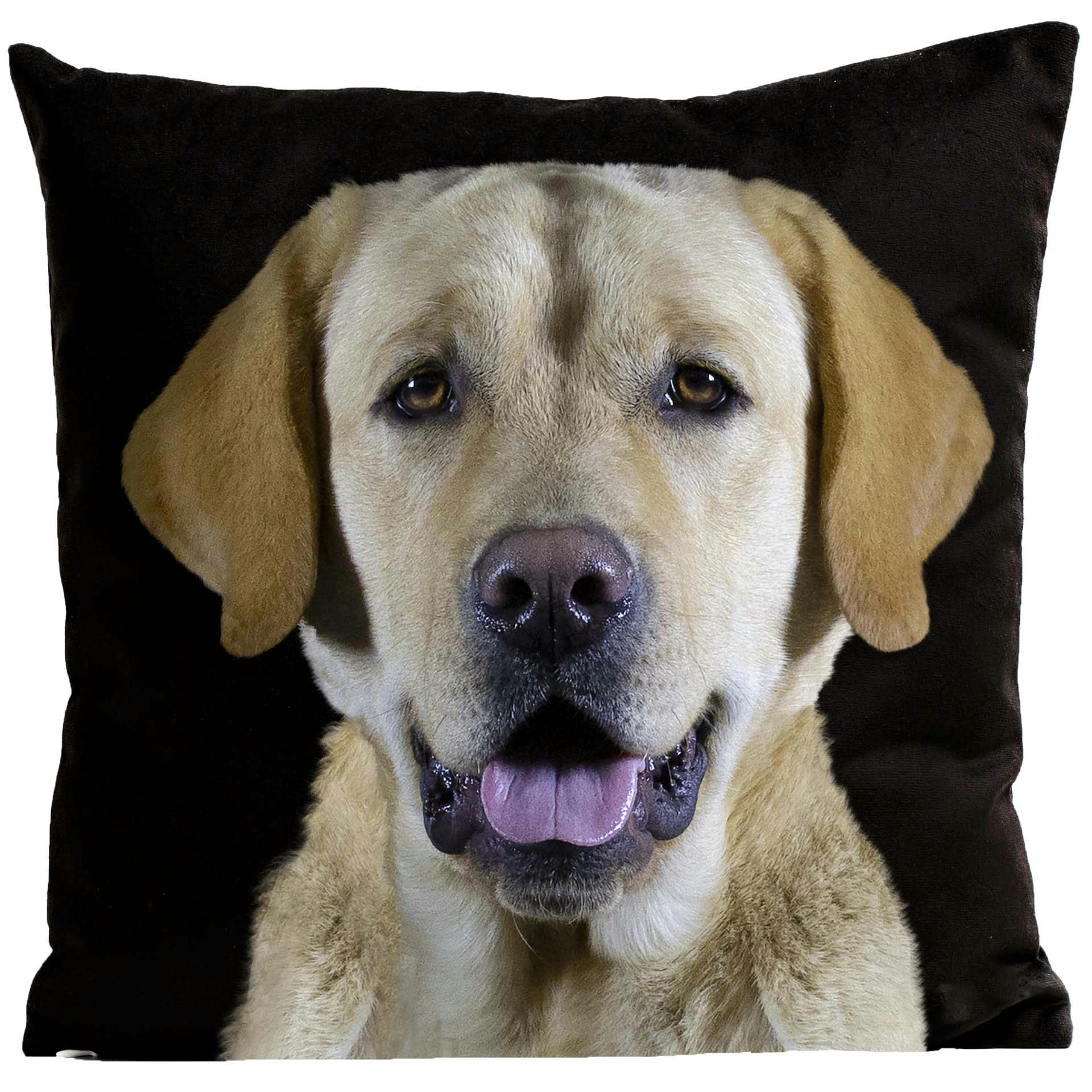 - Coussin chien labrador suédine noir 40x40cm