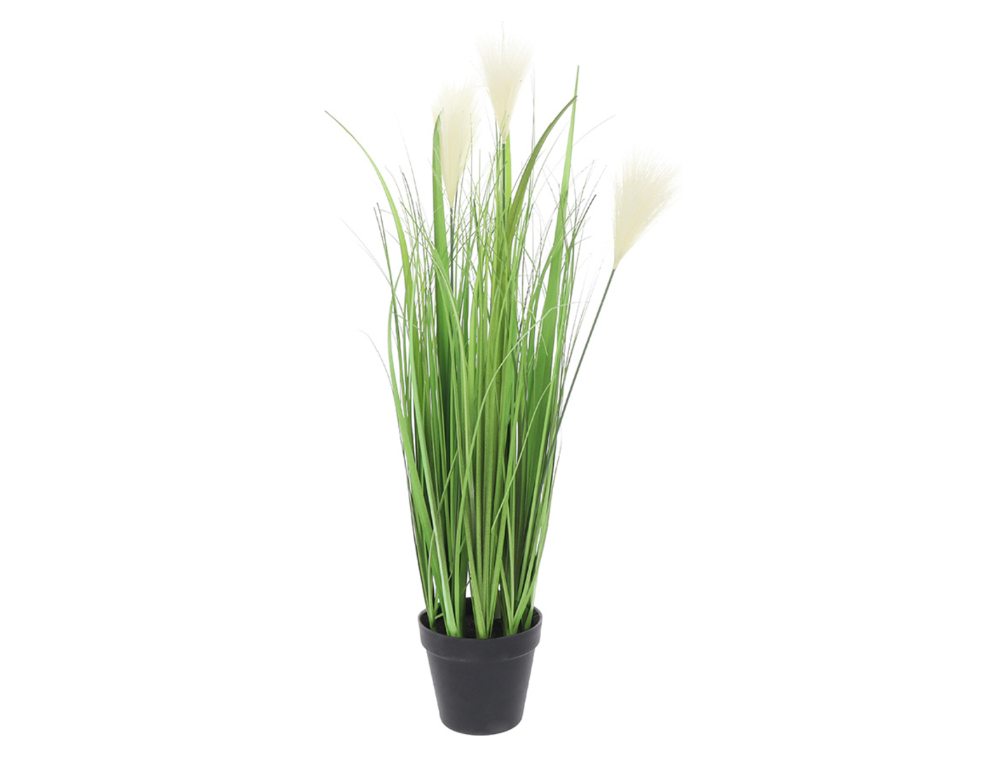 Trawa w doniczce 72 cm