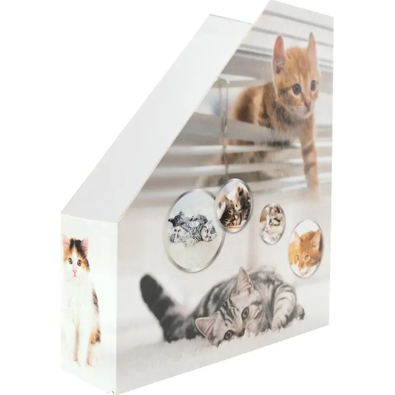 Stehsammler Katzen