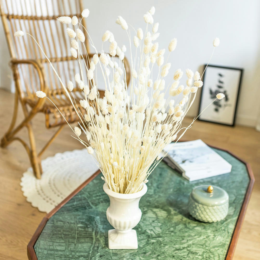 - Botte de fleurs séchées Phalaris blanc 150g