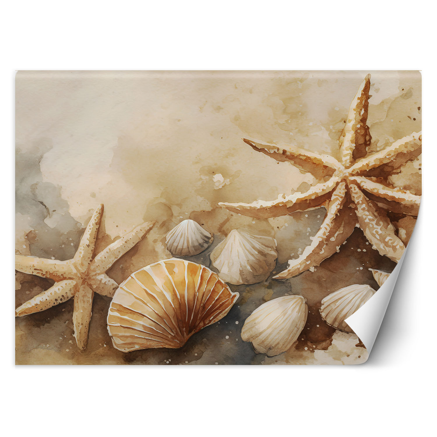 Feeby Fototapeta, morski muszle i rozgwiazdy akrylowy 150x105