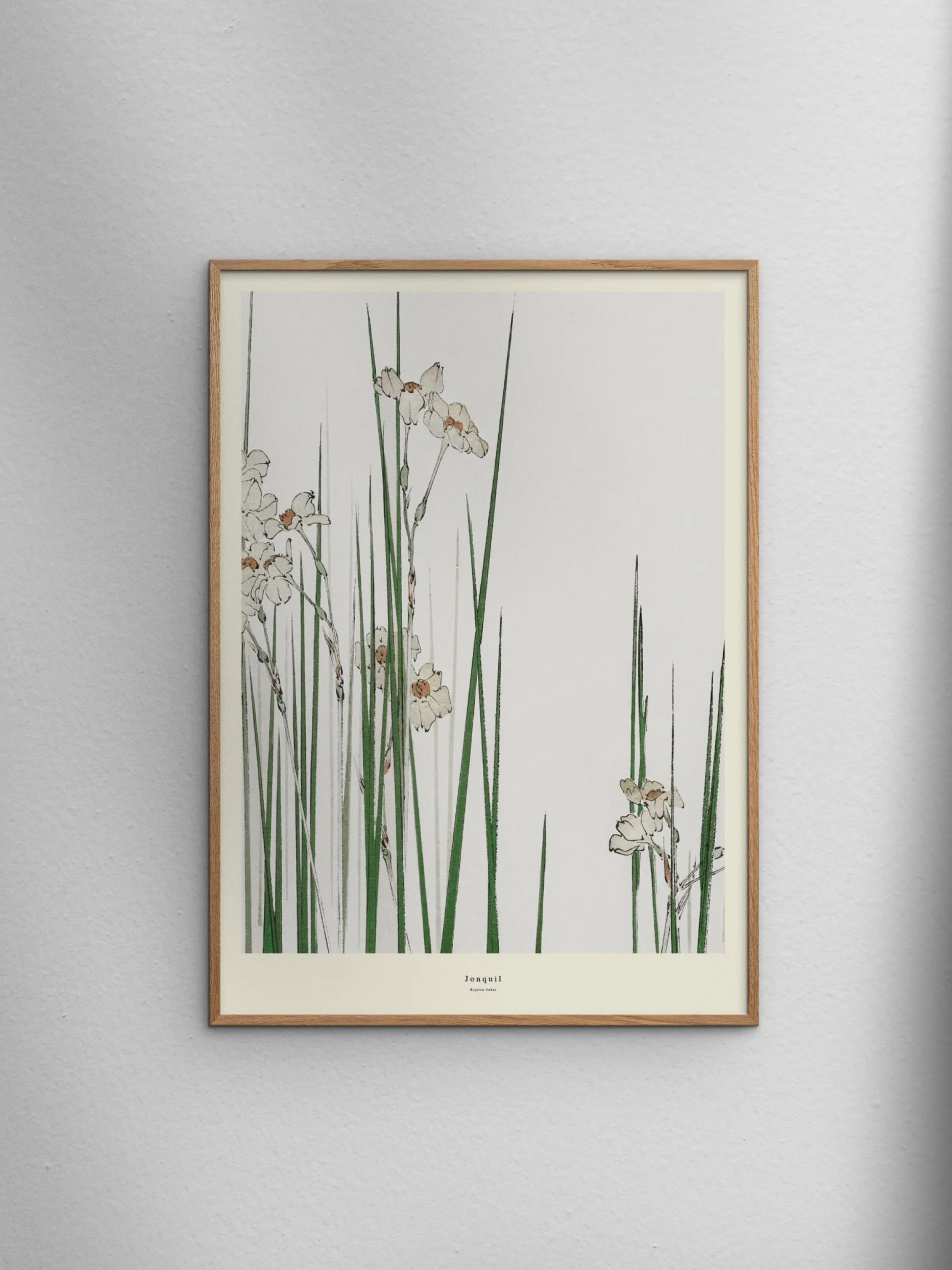 Poster Jonquil