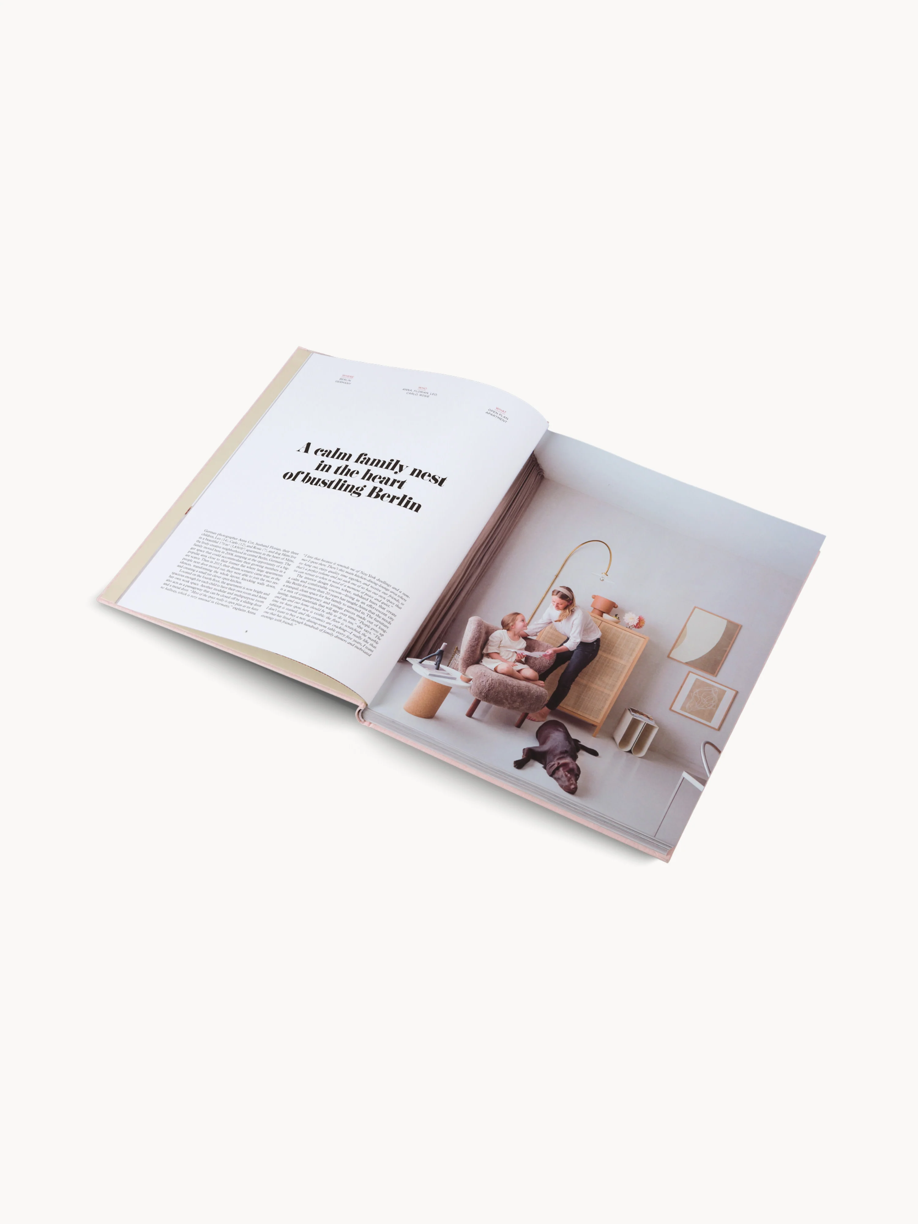 Bildband Inspiring Family Homes