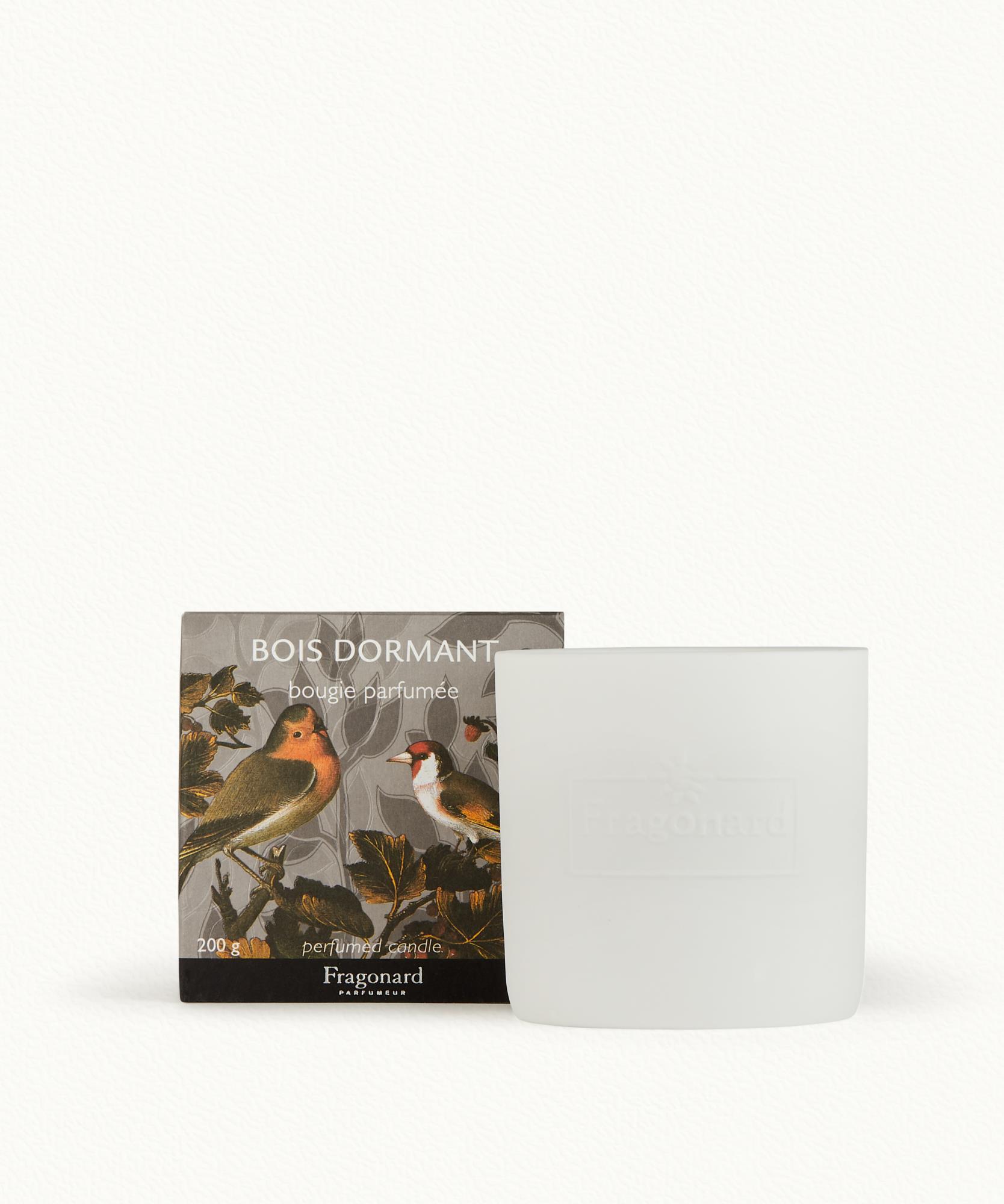 Bois Dormant - Bougie