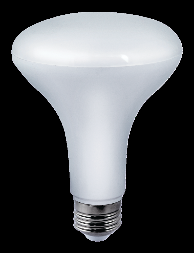 NOMA BR30 E26 Base Dimmable LED Light Bulbs, 5000K, 850 Lumens, Daylight, 65W, 2-pk