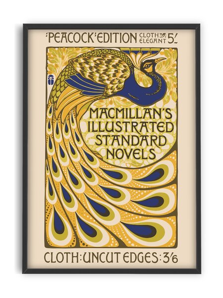 PSTR studio - Peacock - Macmillan's Novels