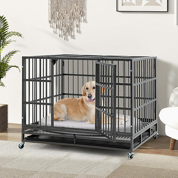 Cage pour Chien Pliable en Métal avec Roues Verrouillables Cage avec Double Portes Verrouillables Plateau Amovible