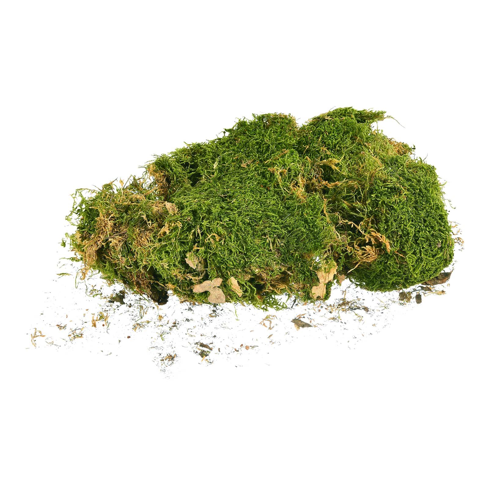 Deko-Lappenmoos Grün, 0,05 kg