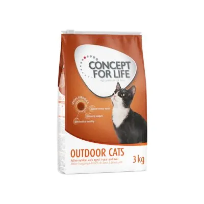 Concept for Life Outdoor Cats