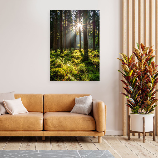 Obraz do salonu sypialni biura, Las drzewa wschód słońca 20x30