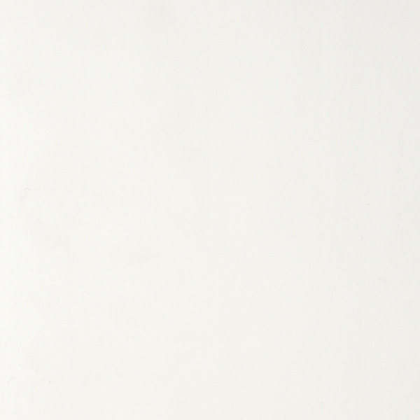 Lambris PVC Dumapan blanc 260 x 10 x 10 cm Dumaplast
