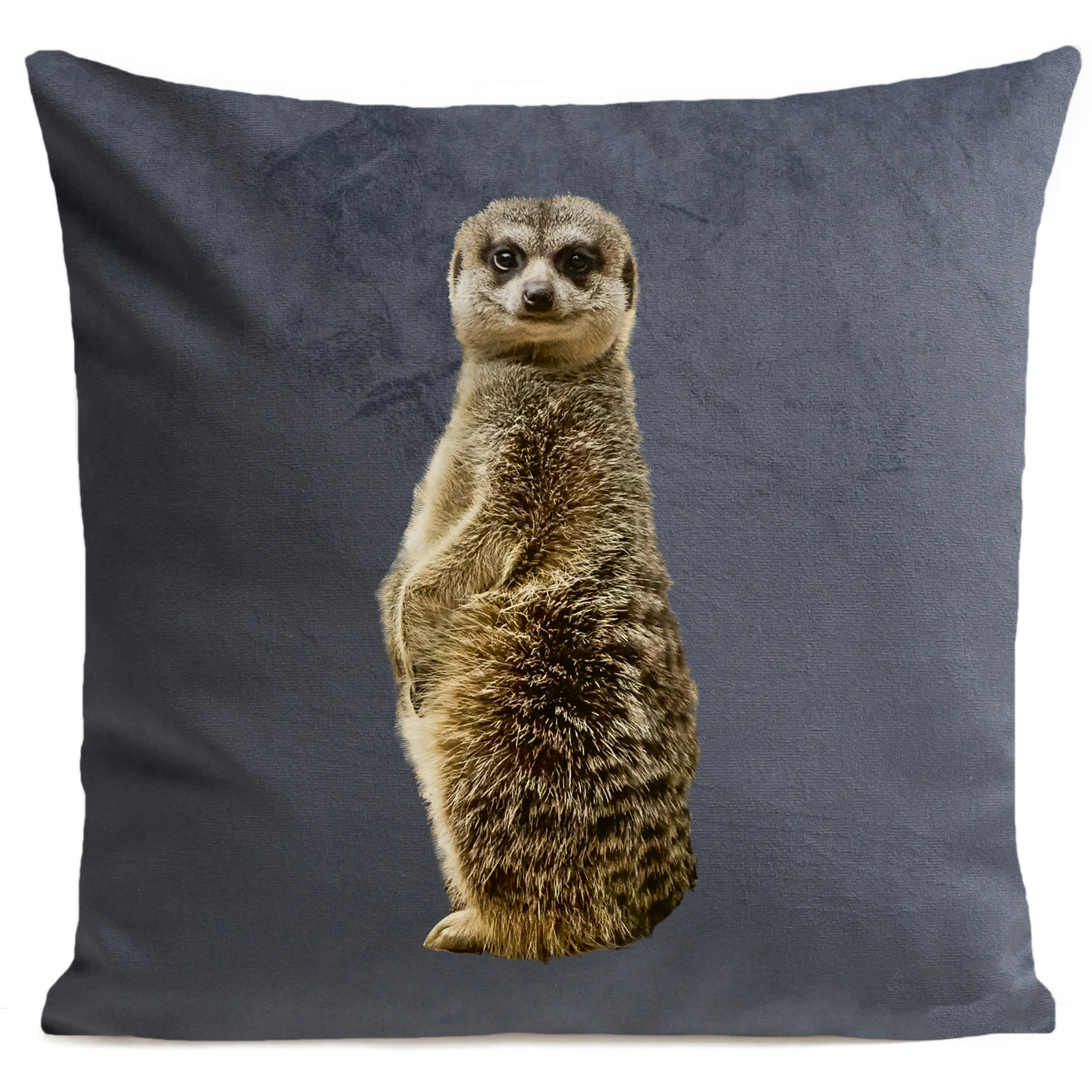 - Coussin jungle suricate suédine gris 40x40cm