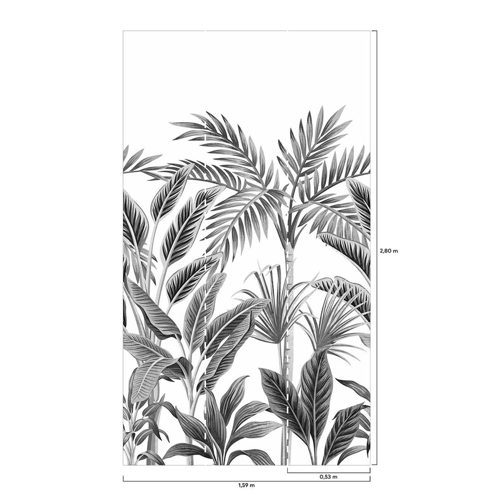 PALMERAIE - Papier peint rouleau palmeraie 159x280cm