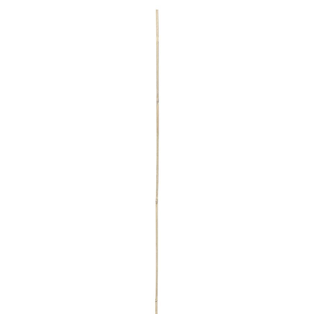 Tuteur bambou Ø1,2xH120cm x8
