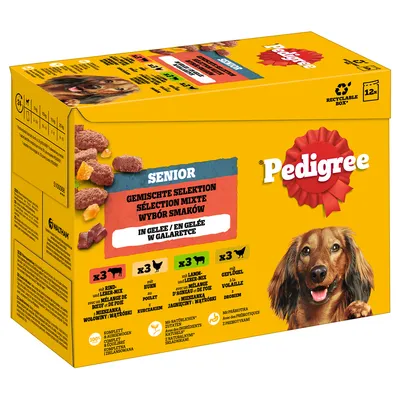Pedigree Senior Pouch in Jelly Multipack