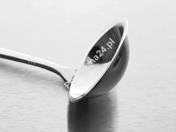 Czerpak do sosu 16,9 cm Amefa - DAKOTA (Palmon) 8413