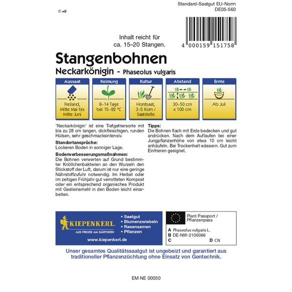 Stangenbohne, Phaseolus vulgaris var. Nanus, Inhalt reicht für 15 - 20 Stangen