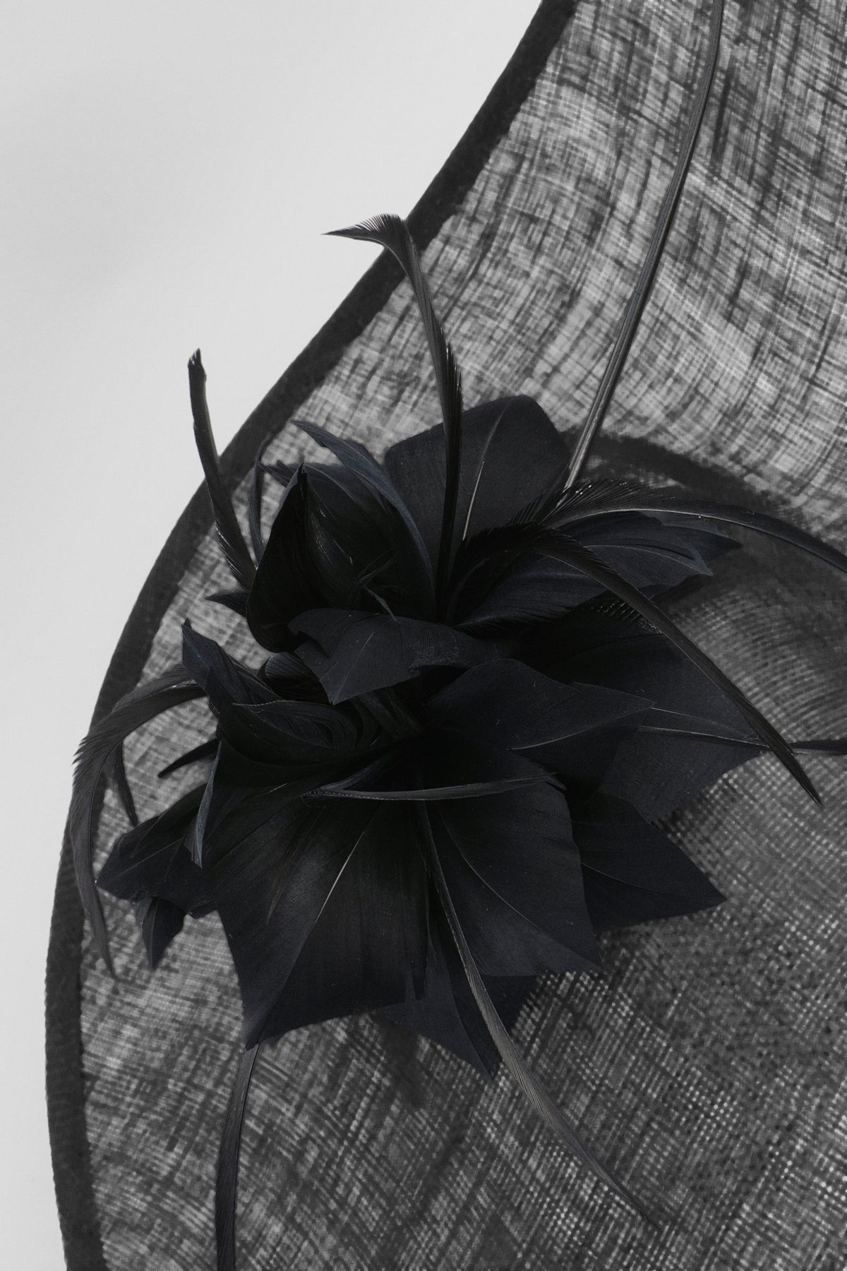 KarenMillen Feather & Quill Disc Fascinator