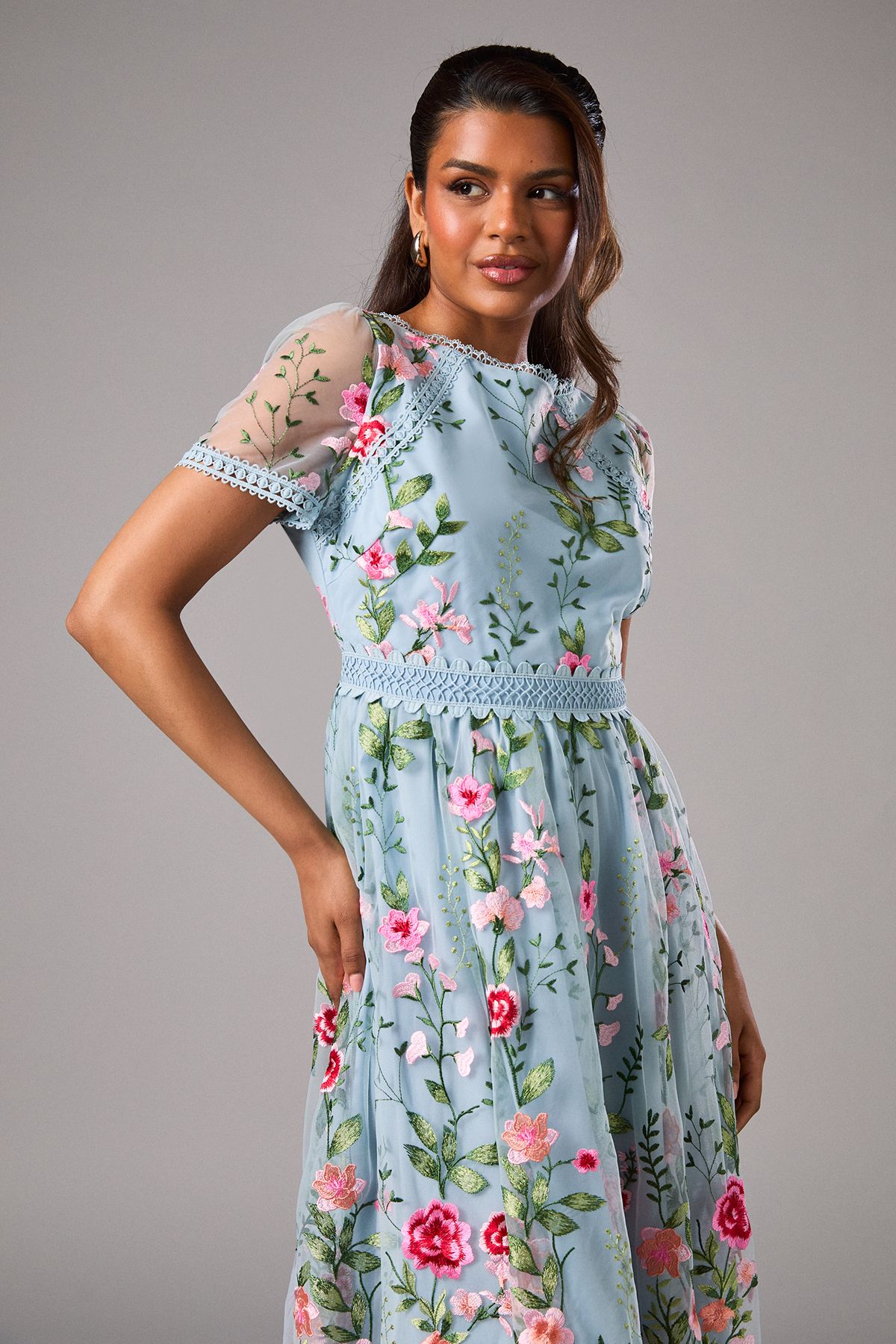Coast Petite Embroidered Mesh Midi Dress With Lace Trim