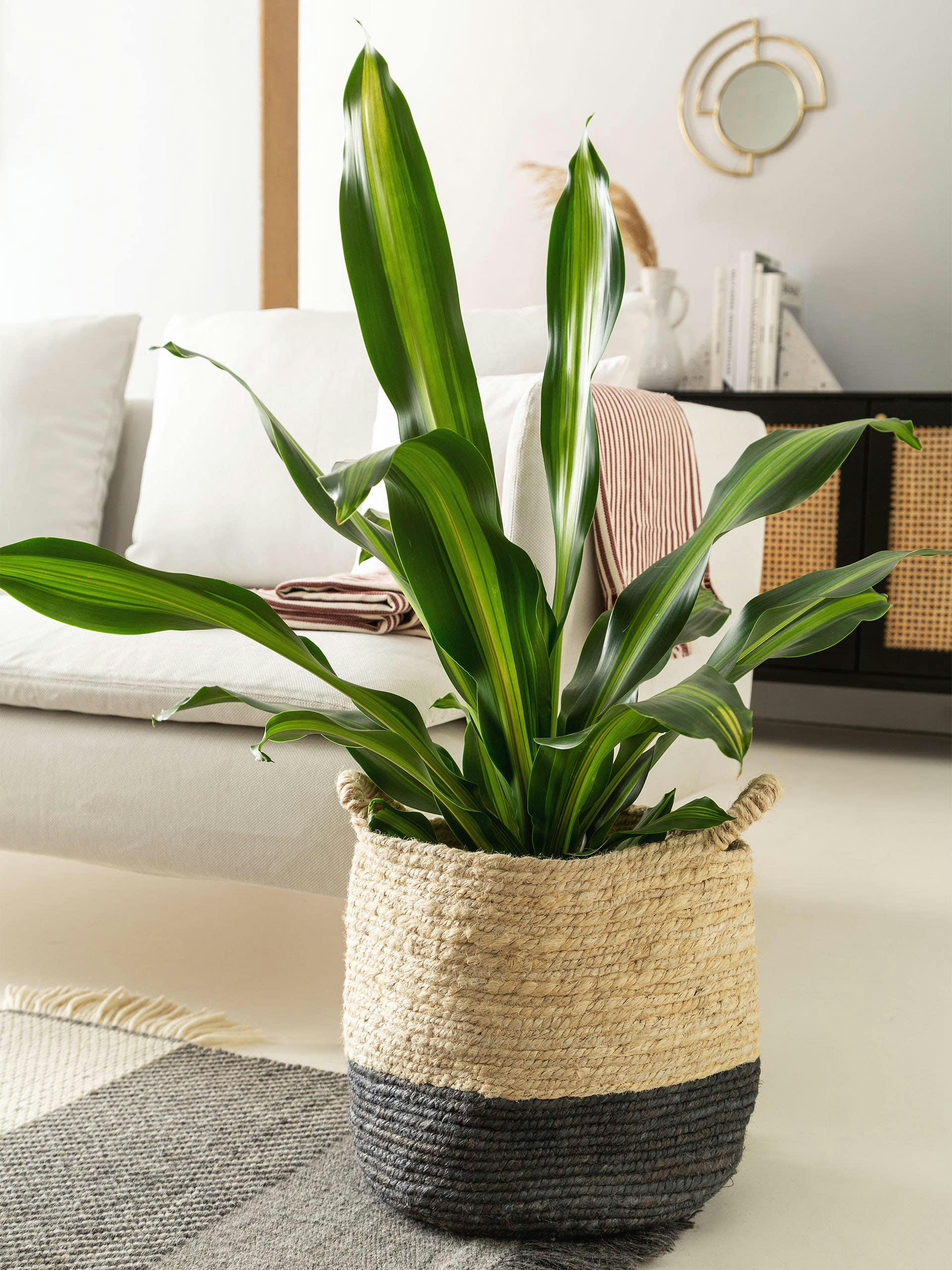 AYLIN - Panier crème/gris 30x30x30