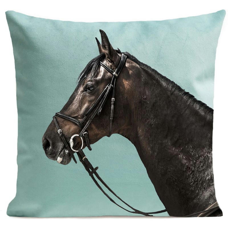 - Coussin animal cheval velours vert d'eau 40x40cm