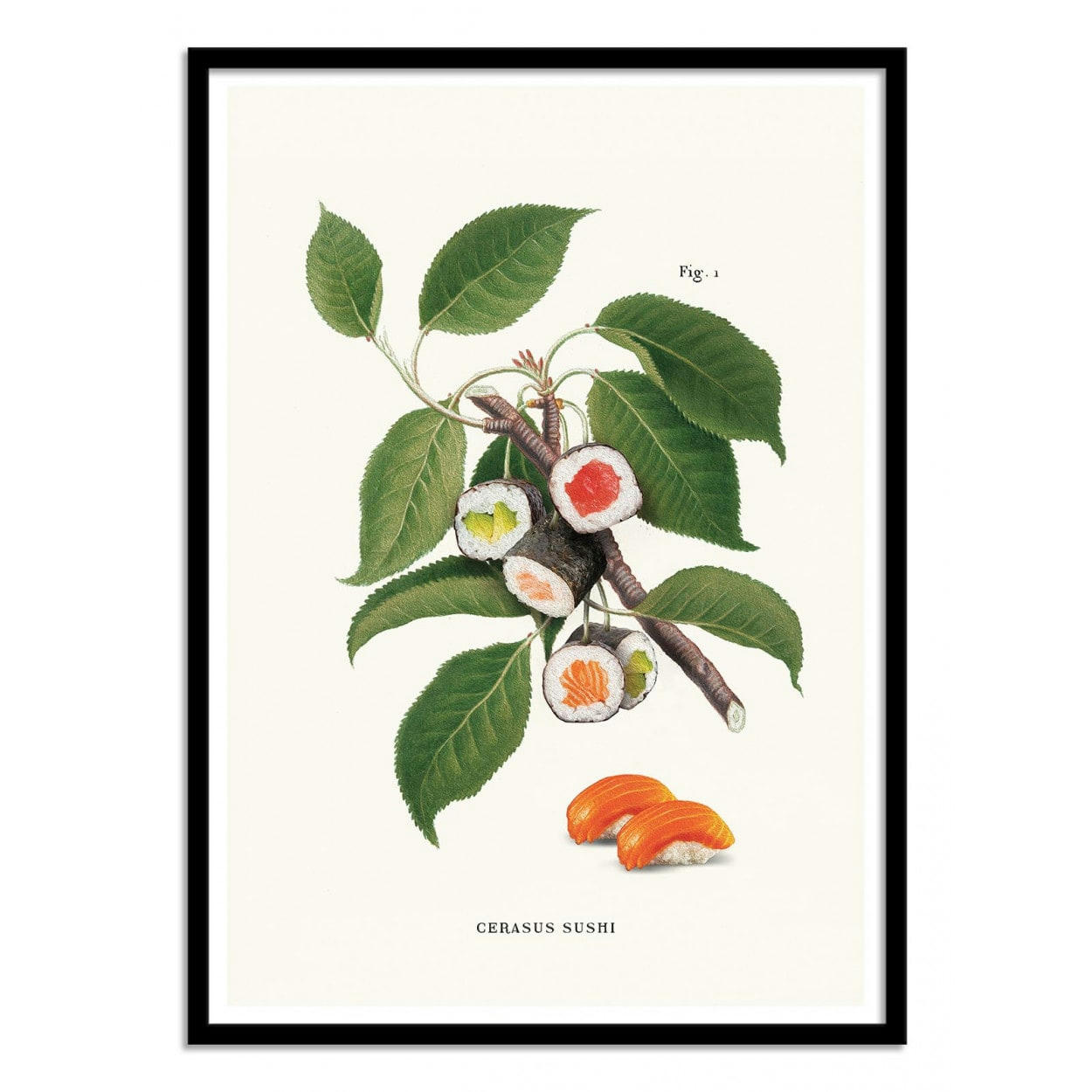 JONAS LOOSE - SUSHI PLANT - Affiche d'art 30 x 40 cm