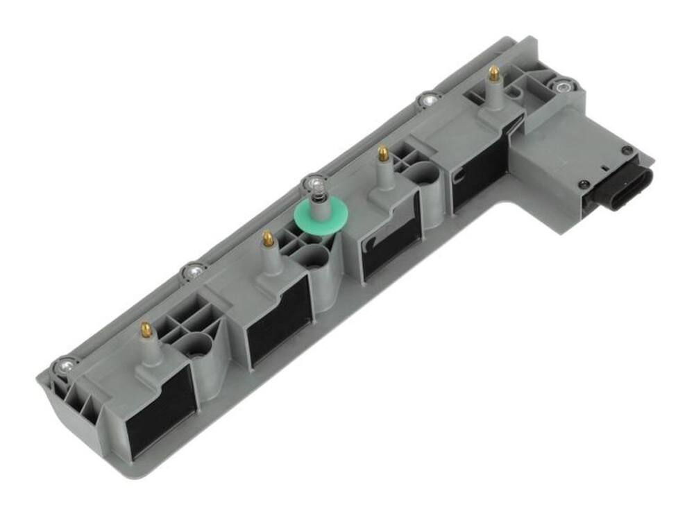 BWD Ignition Coil & Module Assembly