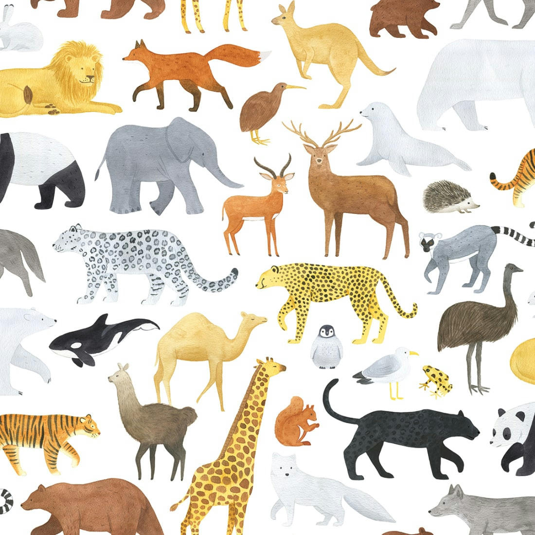 LIVING EARTH - Papier peint animalia multicolore