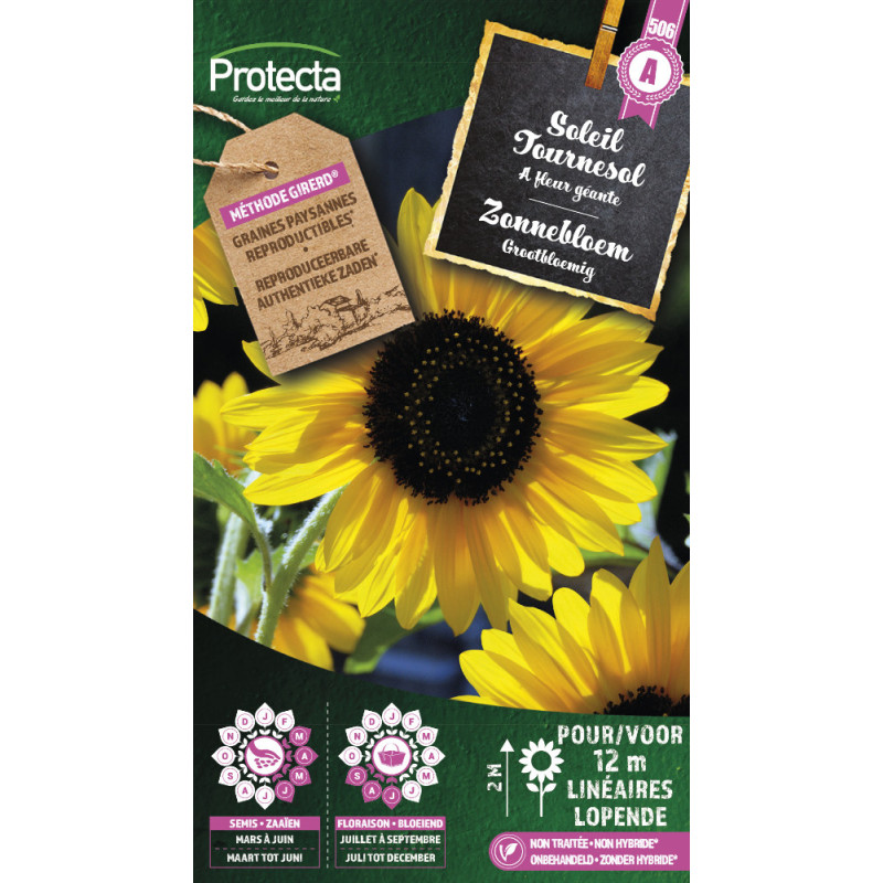 Semences de tournesol Soleil PROTECTA