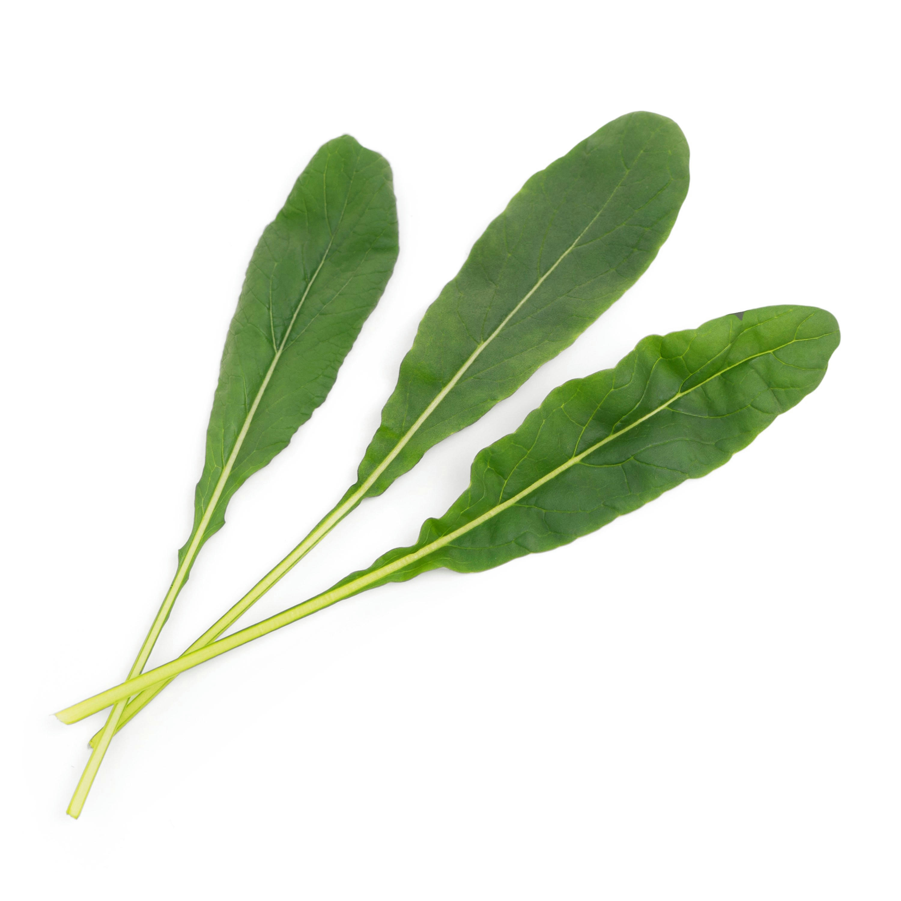 - Lingot Mibuna - Recharge prête à l'emploi