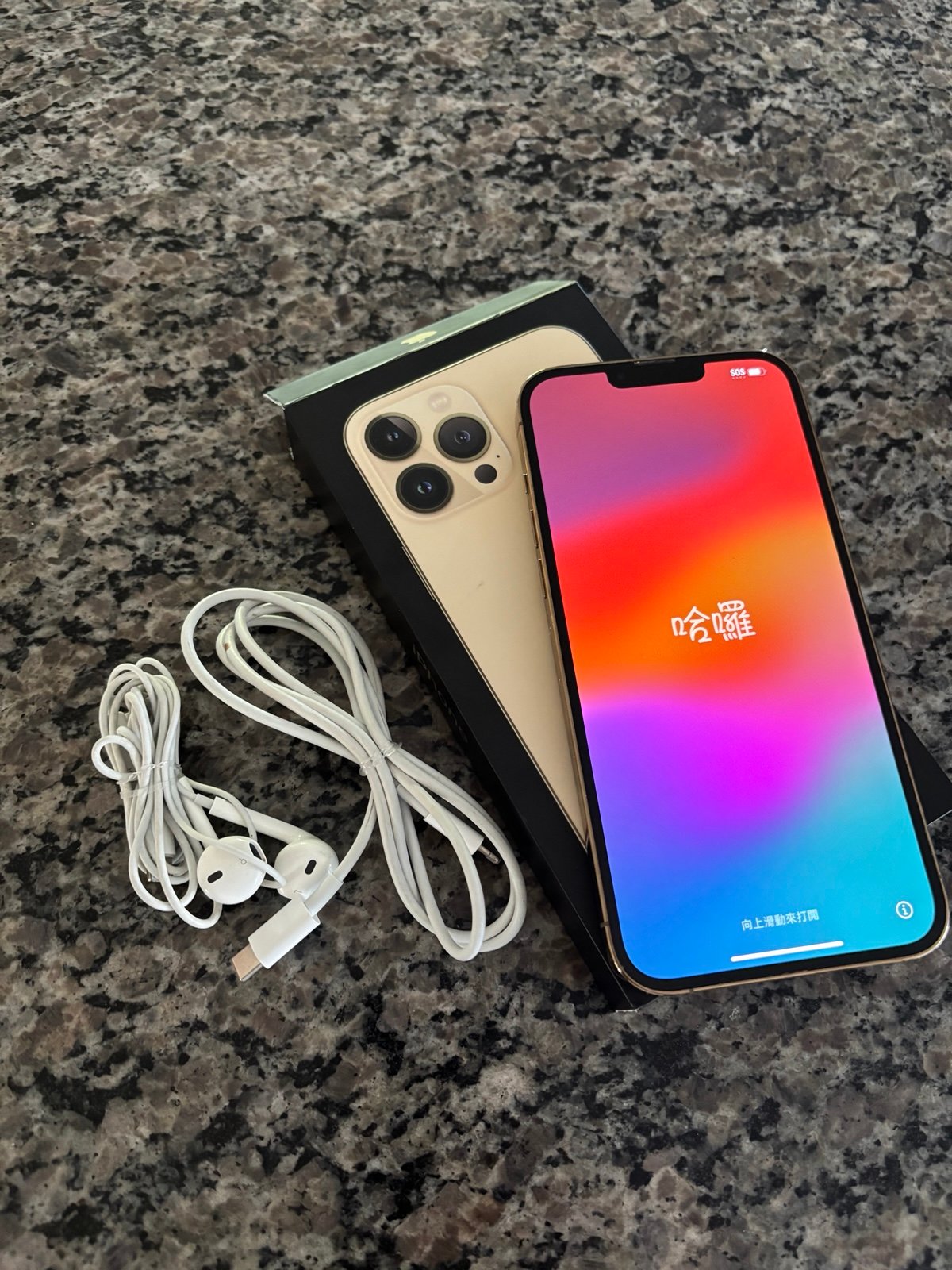 iPhone 13 Pro Max unlocked