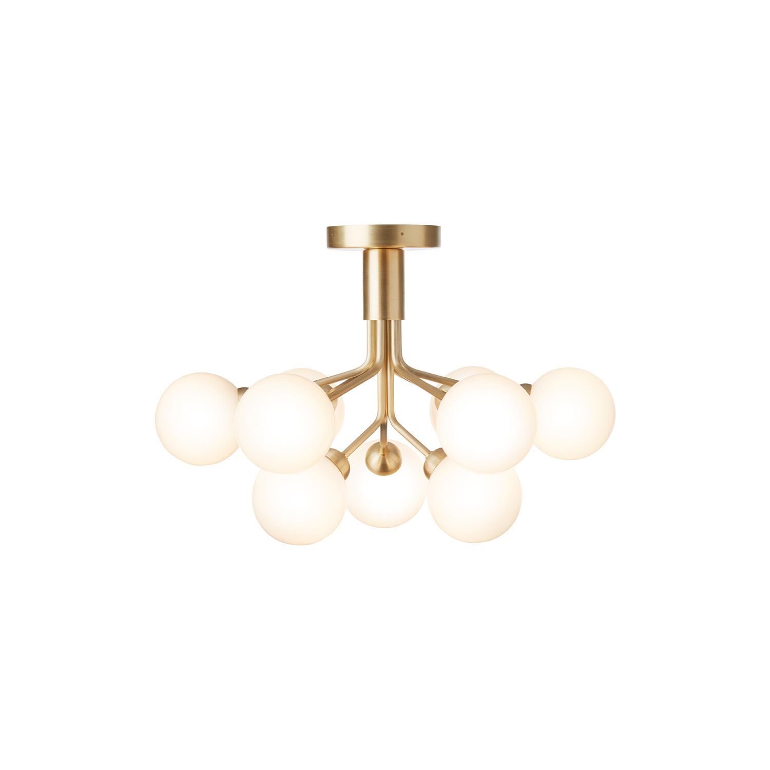 Apiales 9 Ceiling Lamp, brushed brass/opal