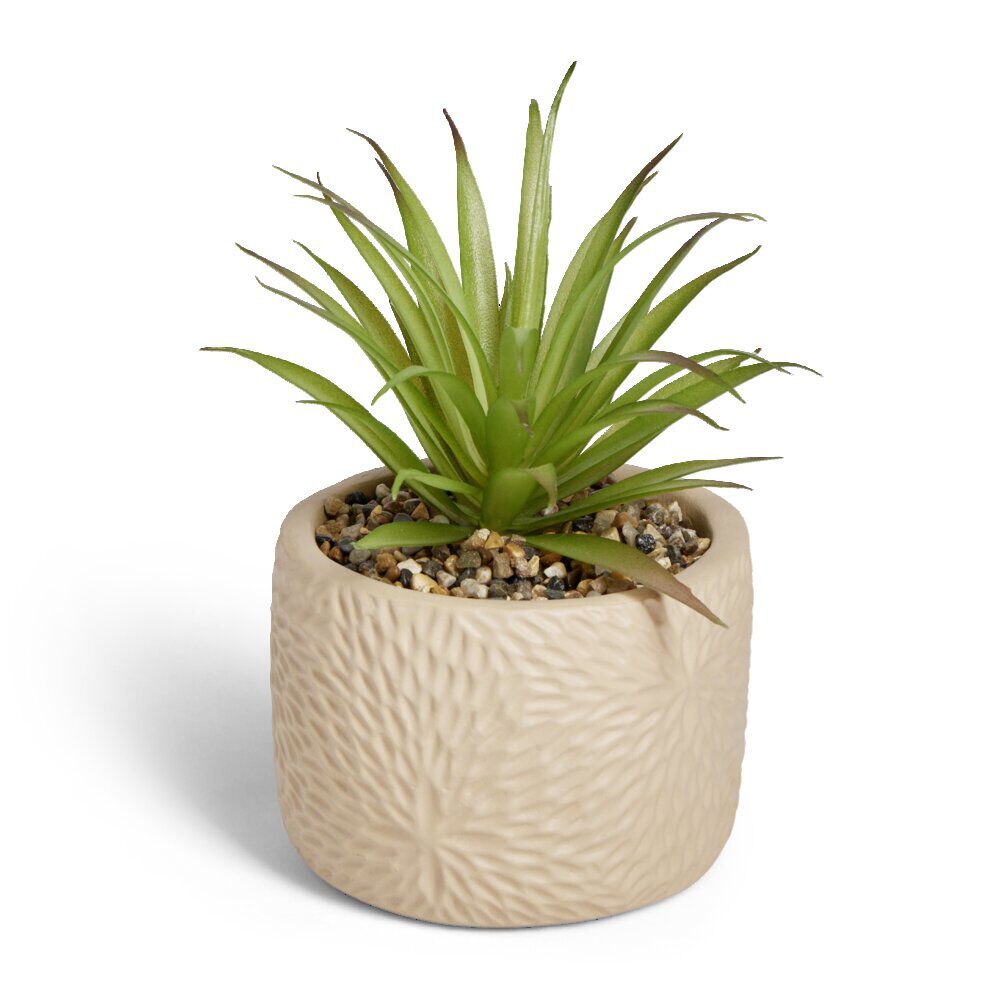 Plante artificielle verte pot ciment relief beige Ø10xH17cm