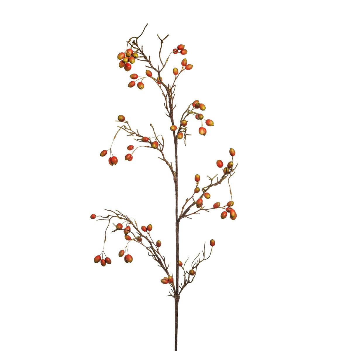 CANINA - Branche d'eglantier H102