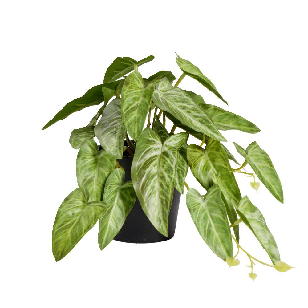 Plante verte artificielle pot noir H17cm - 2 modèles