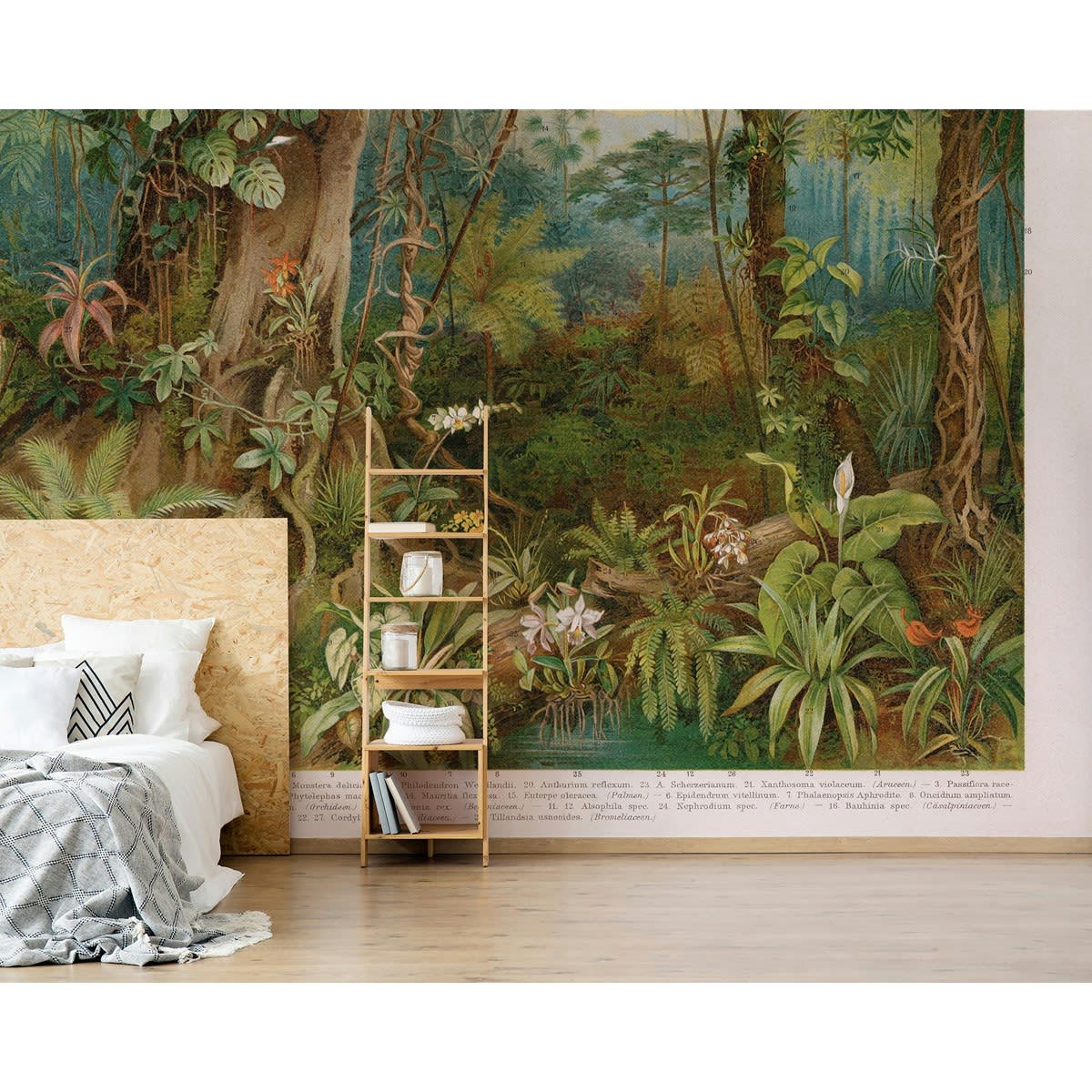 MAURITIA - Papier peint panoramique en Papier Multicolore  336x265