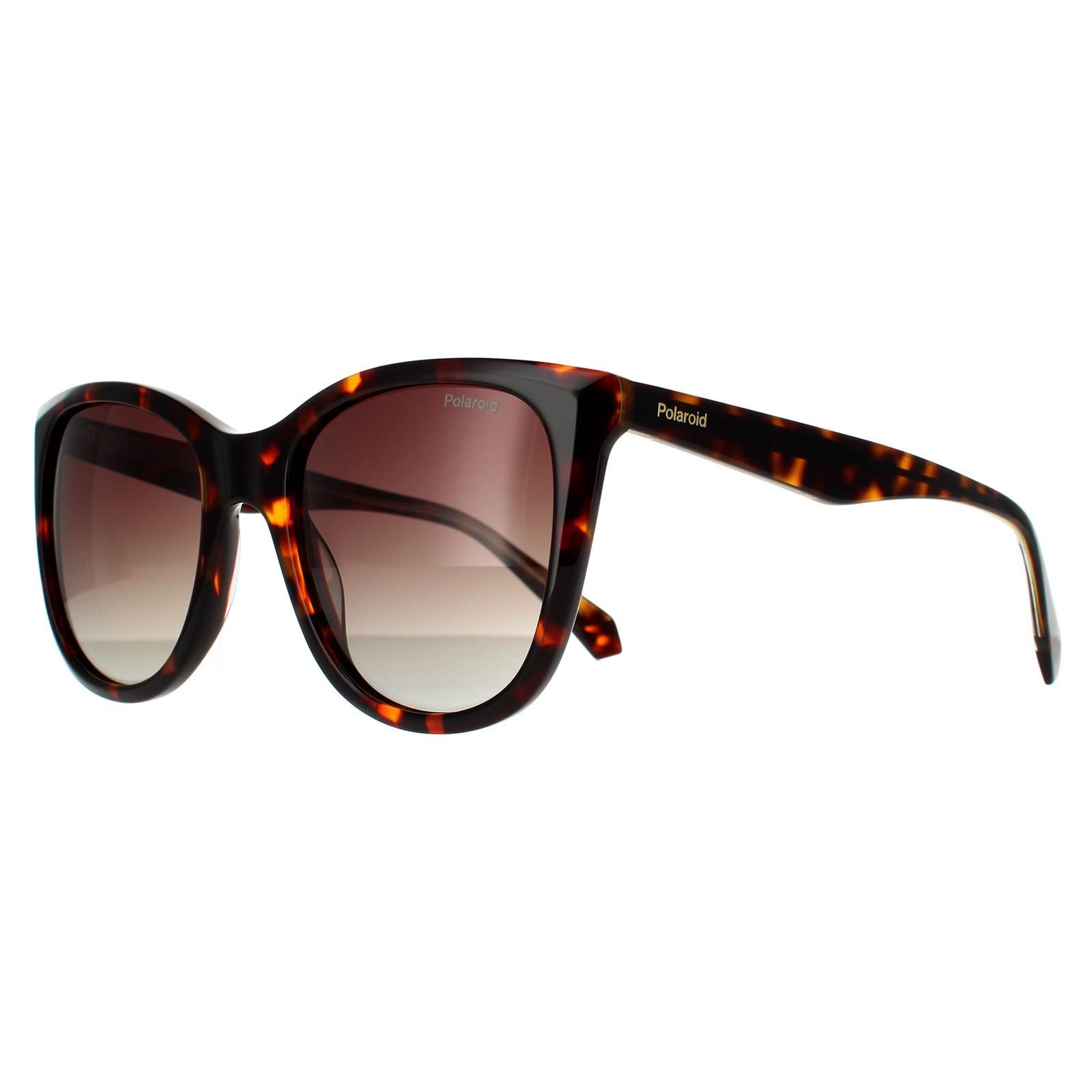 Polaroid Square Havana Brown Brown Gradient Polarized