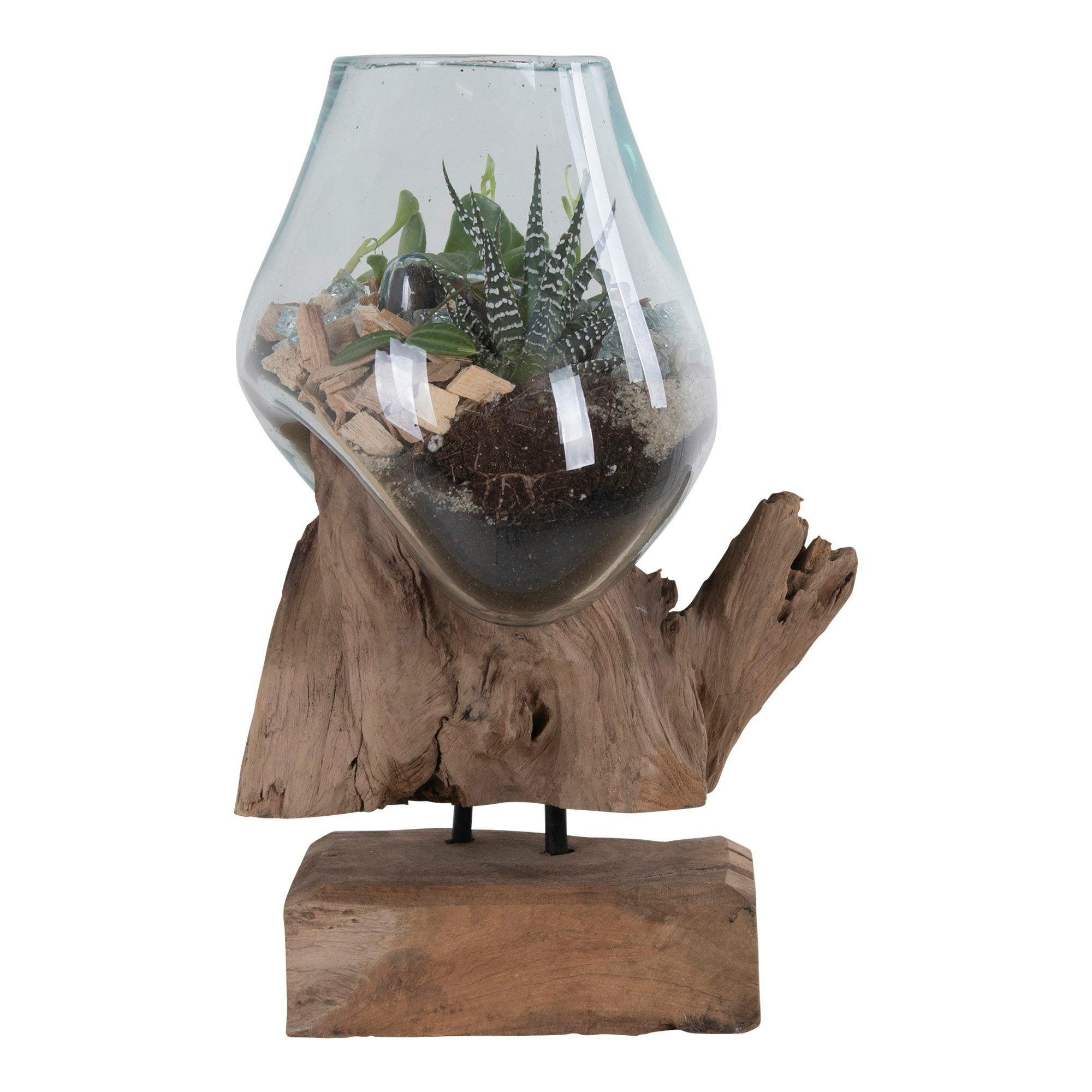 Vase verre soufflé et racine teck, artisanal H 25 cm ARIZONA