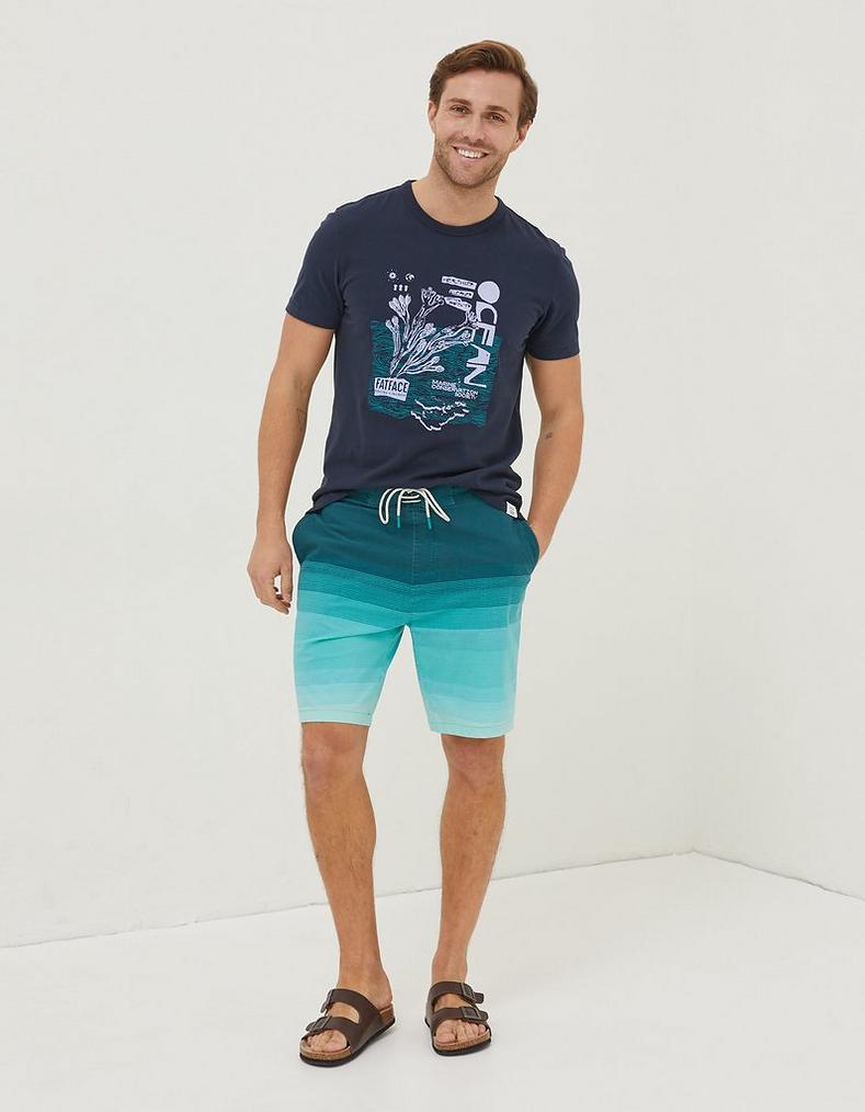 Camber Ombre Swim Shorts