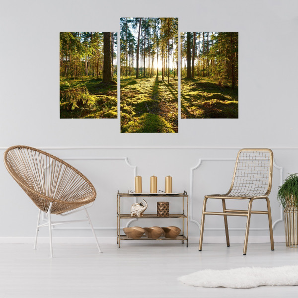 Obraz Tryptyk LEŚNY PEJZAŻ Słońce Efekt 3D 60x40cm