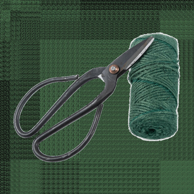 - Kit de fixation pour plantes