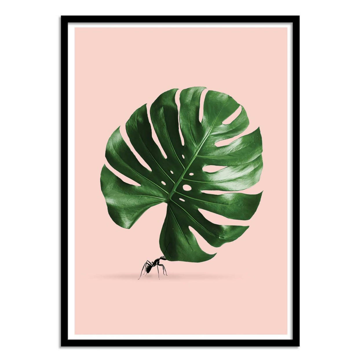 JONAS LOOSE - MONSTERA ANT - Affiche d'art 50 x 70 cm