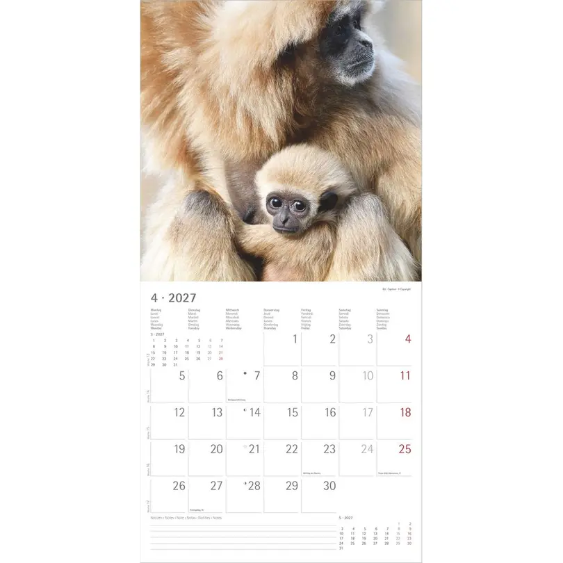 Geburtstagskalender Alpha edition