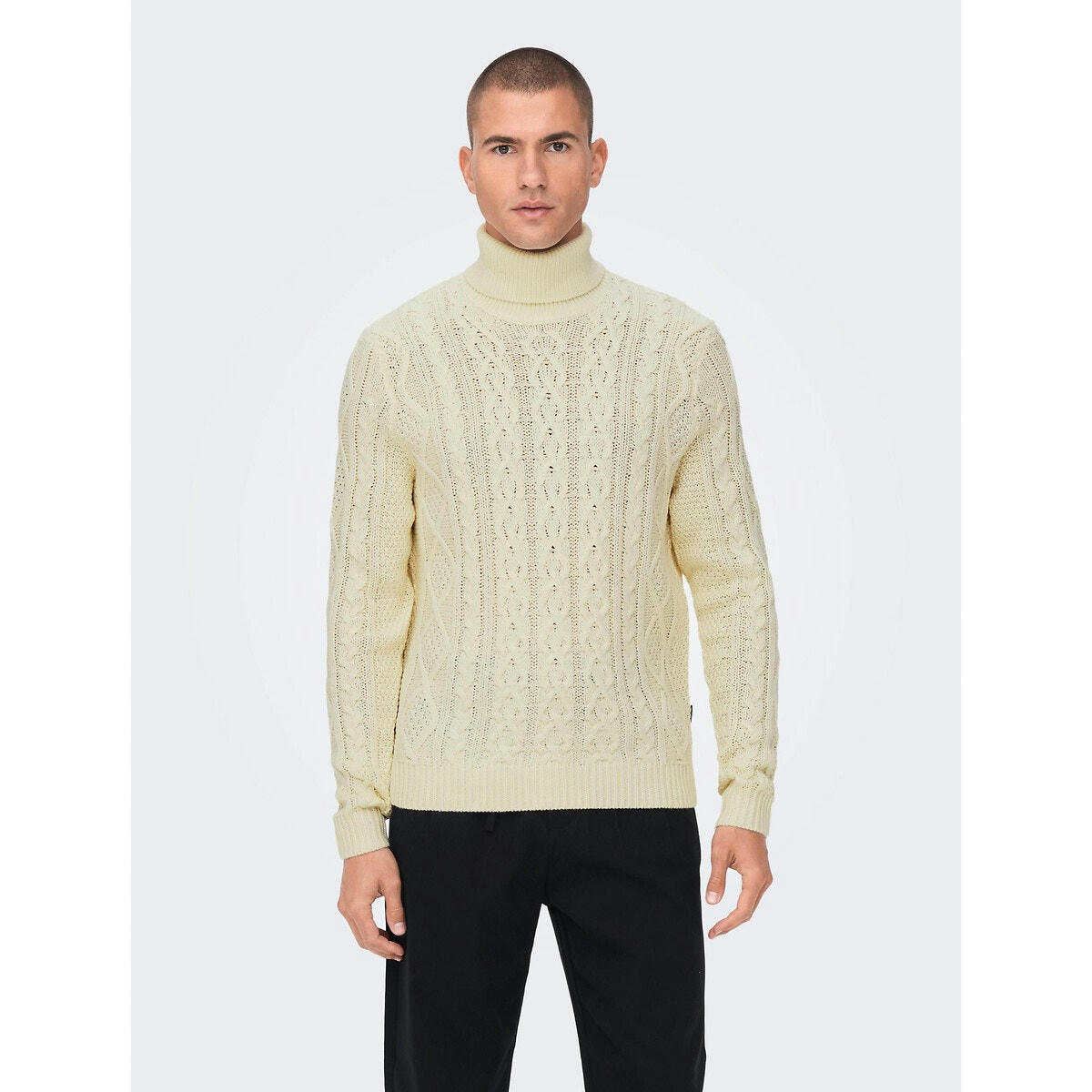 Pull col  roulé droit Phil